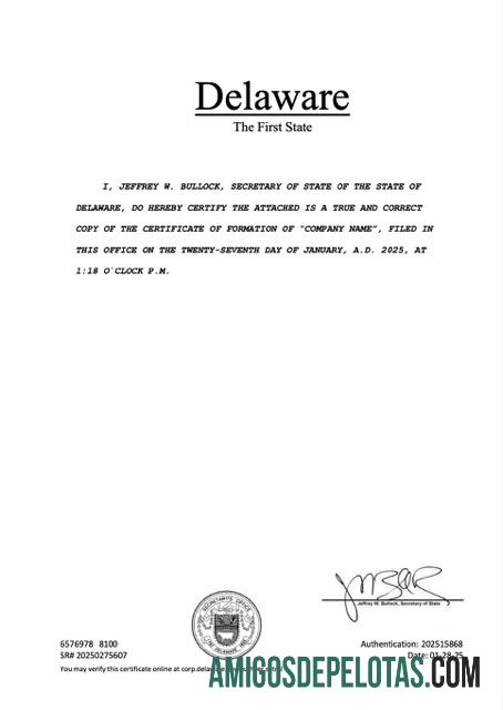 certificado de registro em branco nos EUA Delaware modelo Word e PDF